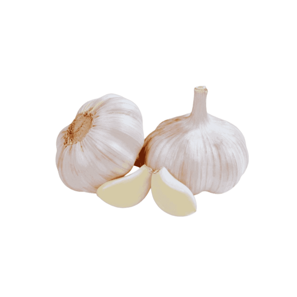 ثوم