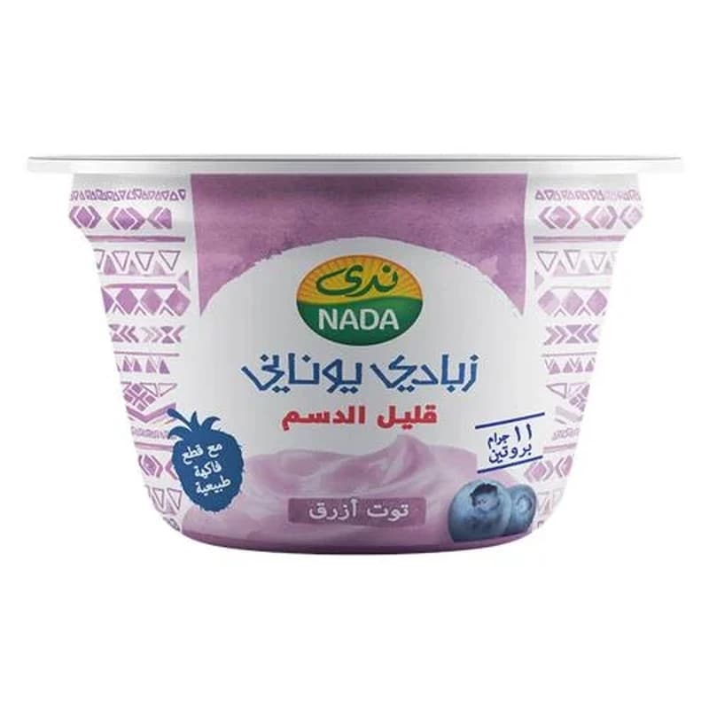 ندي زبادي يوناني توت ازرق 160جم