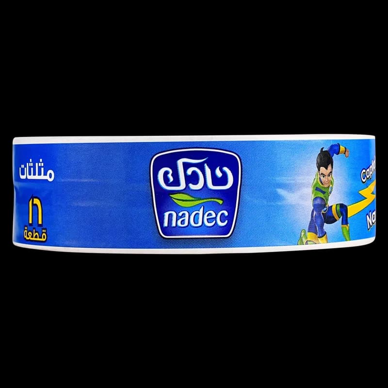 نادك شبيه جبن مثلث 240جم