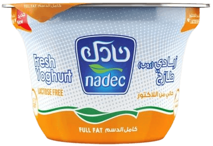 نادك زبادي لاكتوزي 160 جم