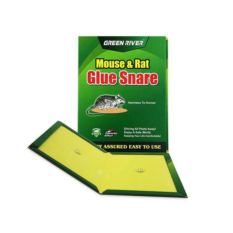 لصق فار اخضر