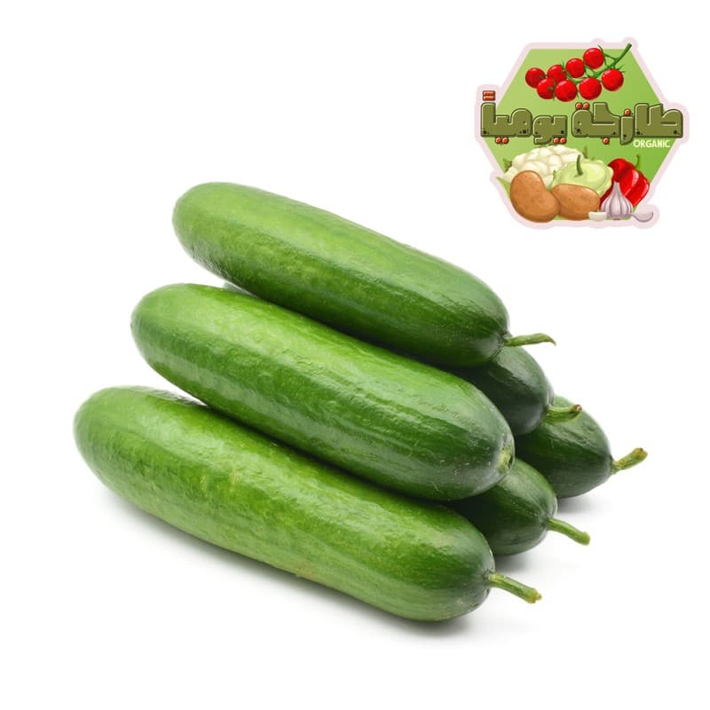 فلين خيار 700جم تقريبا